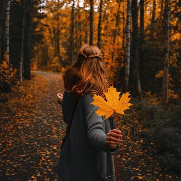 آموزش عکاسی پاییز